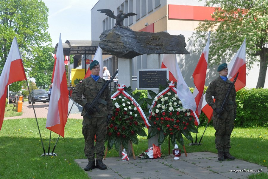 155 Patriotyczna manifestacja.jpg